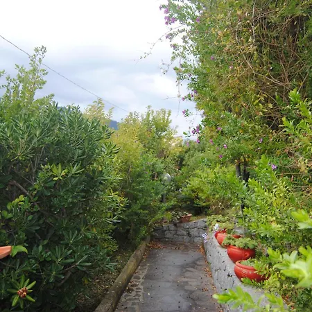 Апартаменты Trilocale Dolores Pila (Livorno)